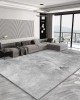 High-end, simple, stain-resistant living room carpet, large wall-to-wall blanket, home bedroom bedside rug, wear-resistant sofa blanket